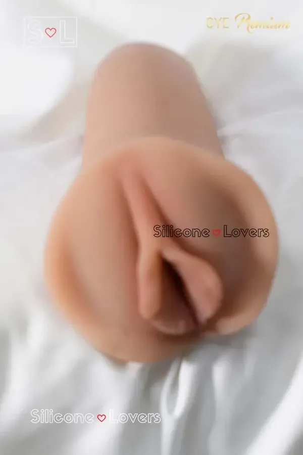 6YE Aurora Torso